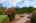 Blurred preview of media: 1-74