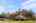 Blurred preview of media: 1-18