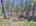 Blurred preview of media: DJI_20260424125233_0636_D_7_D_8_D_easyHDR
