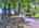 Blurred preview of media: DJI_20250822124245_0843_D_4_D_5_D_easyHDR