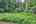 Blurred preview of media: IMG_3402_3_4_easyHDR