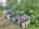 Blurred preview of media: DJI_20250616143950_0789_D_90_D_91_D_easyHDR