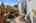 Blurred preview of media: 1-36