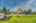 Blurred preview of media: IMG_2055 copy 3