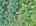Blurred preview of media: DJI_20260829114728_0152_D_3_D_4_D_easyHDR