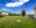 Blurred preview of media: D11