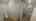 Blurred preview of media: 20260731_170652