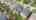 Blurred preview of media: 078