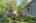 Blurred preview of media: _RKJ4275