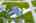 Blurred preview of media: iPixx_10_9