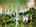 Blurred preview of media: 761 Bruce Rd 13 air 2 W lines