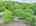 Blurred preview of media: DJI_20260616120048_0871_D_2_D_3_D_easyHDR