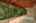 Blurred preview of media: 260159-33