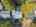 Blurred preview of media: 1-46