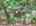 Blurred preview of media: DJI_20260702124852_0591_D_2_D_3_D_easyHDR