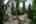 Blurred preview of media: 20250808L_lg_JW0024
