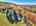 Blurred preview of media: DJI_20251021123105_0921_D_2_D_3_D_easyHDR