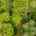 Blurred preview of media: 1-926-0701