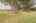 Blurred preview of media: Image-45
