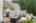 Blurred preview of media: 4 Bobby Jones Drive unit 4 Andover Massachusetts Job 40733 0012