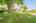 Blurred preview of media: 7 Wallis Ave, Smithville _ Nathan Ferro3