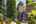 Blurred preview of media: Kenton 18