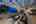 Blurred preview of media: www.sandiegophotography.info-59 (1)