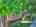 Blurred preview of media: DJI_20260613115203_0779_D_80_D_81_D_easyHDR
