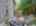 Blurred preview of media: 22-pond-hollow-drive-oak-ridge-nj-usa-house-024