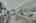 Blurred preview of media: DSC02069
