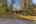 Blurred preview of media: IMG_0425.1