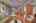 Blurred preview of media: IMG_2305_6_7