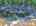 Blurred preview of media: DJI_20250802150849_0790_D_1_D_2_D_easyHDR