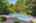 Blurred preview of media: Nerine_018