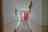 Blurred preview of media: IMG_2422_3_4