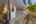 Blurred preview of media: 079