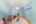 Blurred preview of media: 033_ROB04754