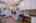Blurred preview of media: Firebrand Dr-66