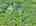 Blurred preview of media: DJI_20260527103516_0008_D_09_D_10_D_easyHDR