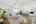 Blurred preview of media: 5106_Paseo_del_Pavon_015