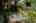 Blurred preview of media: DSC_3650