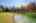 Blurred preview of media: IMG_1327
