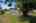 Blurred preview of media: DSC05886