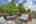 Blurred preview of media: IMG_0013