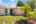 Blurred preview of media: IMG_9019