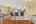 Blurred preview of media: DSC02169
