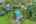 Blurred preview of media: 052