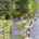 Blurred preview of media: 14A Harrison Road 50
