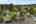 Blurred preview of media: 1-72