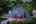 Blurred preview of media: TEL00996-HDR